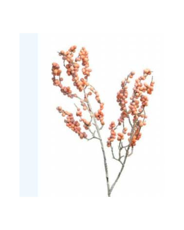 FLORA ASTE BERRIES REIMS SALMAO X2 68CM