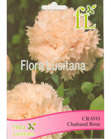 SEMENTE CRAVO CHAUBAD ROSA