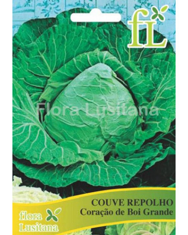 SEMENTE COUVE REPOLHO CORACAO DE BOI GRANDE 10GR.