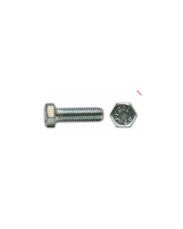 PARAF SEXT IX A2M6X40 DIN 933 (CX 200UN)