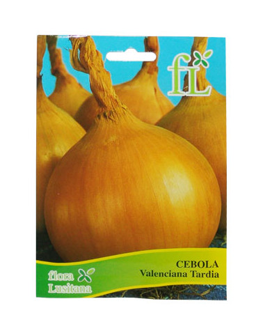 SEMENTE CEBOLA VALENCIANA TARDIA 10GR.