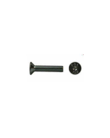 PARAF. SEXT.INT. CAB.CONICA IX M6X40 DIN 7991 (CX