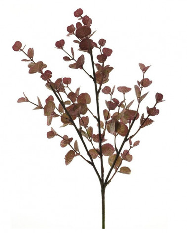 FLORA ASTE EUCALIPTO BORDEAUX X3 47CM