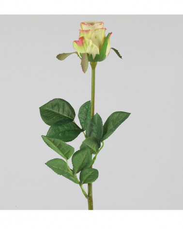FLORA BOTAO ROSA SPRING VERDE/ROSA 70CM
