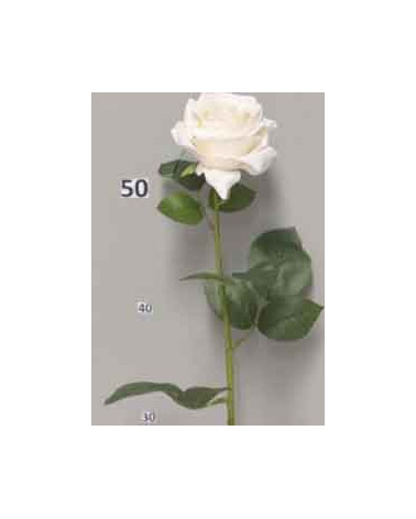 FLORA ROSA DIJON CREME 64CM
