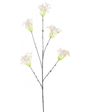 FLORA FLOR QUEEN ANNE LACE ROSA 87CM