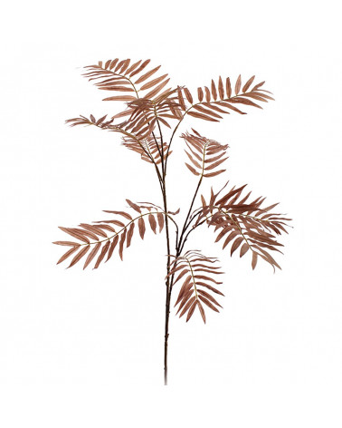 FLORA ASTE FOLHAGEM CHAMEDOREA CASTANHO SECO 120CM