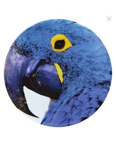 VA OLHAR O BRASIL PRATO MARCADOR ARARA AZUL