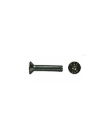 PARAF SEXTINT CABCONICA IX M8X80 DIN 7991 (CX 100UN)