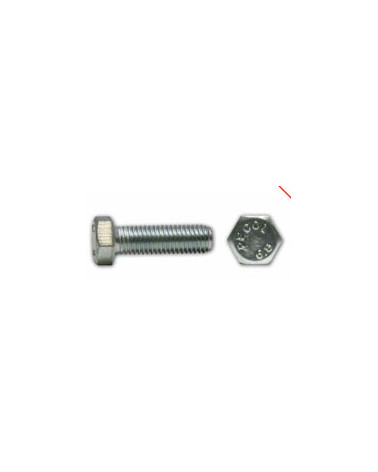 PARAF SEXT IX A2M8X40 DIN 933 (CX 100UN)