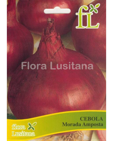 SEMENTE CEBOLA MORADA AMPOSTA 10GR