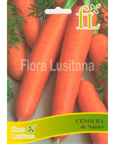 SEMENTE CENOURA NANTES MELHORADA 10GR