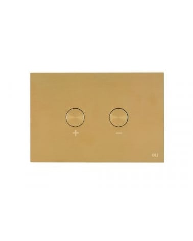 PLACA COMANDO SANITA DOURADO ESCOVADO