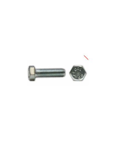 PARAF SEXT IX A2M6X50 DIN 933 (CX 100UN)