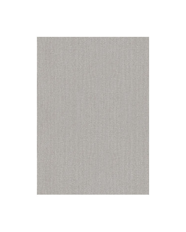 6789-10 PAPEL PAREDE RL 10.05X0.53MT