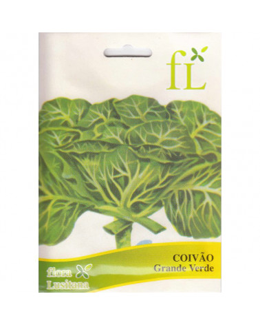 SEMENTE COIVAO GRANDE VERDE 10GR.