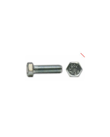 PARAF SEXT IX A2M6X30 DIN 933 (CX 200UN)