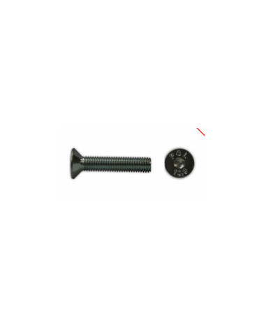 PARAF SEXT INT ZN CAB CONICA M6X40 DIN 7991 (CX 200 UN)