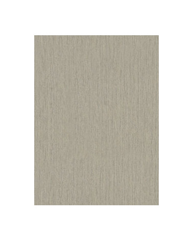 6785-10 PAPEL PAREDE RL 10.05X0.53MT