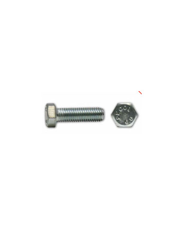 PARAF SEXT IX A2M8X50 DIN 933 (CX 100UN)