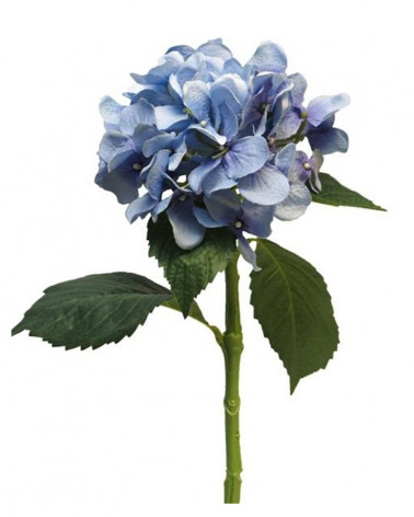 FLORA PE HEGRANGEA ARTIST AZUL 48CM