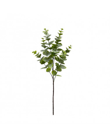 FLOTA ASTE EUCALIPTO VERDE X7 63CM