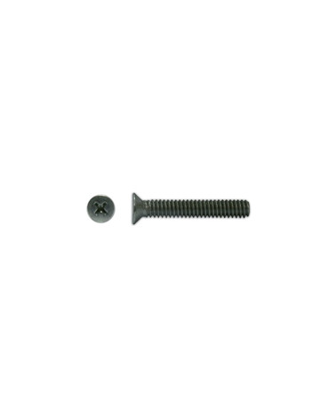 PARAF C.CONICA PH M4X10 DIN965 (BL)