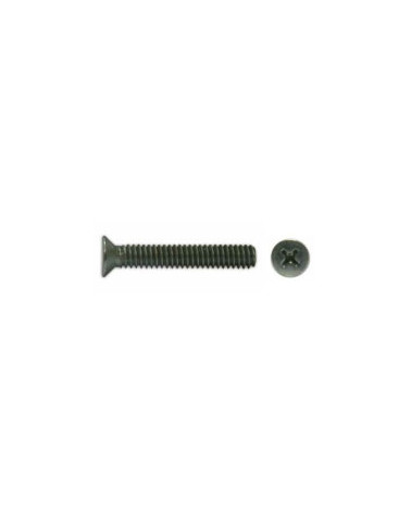 PARAF CABCONICA PH IX M6X80 DIN 0965 (CX 100UN)