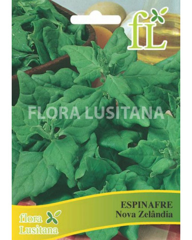 SEMENTE ESPINAF.NOVA ZELANDIA 10GR.