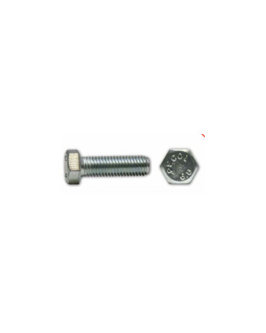 PARAF SEXT IXA2M5X30 DIN 933 (CX 500UN)