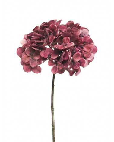 FLORA HYDRANGEA ODA C/GELO AUBERGINE 46CM