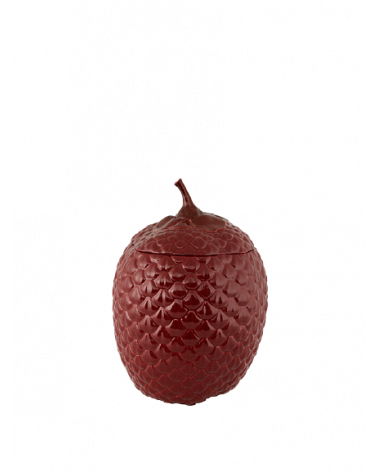 BORDAL P AMAZONIA CAIXA 30CM
