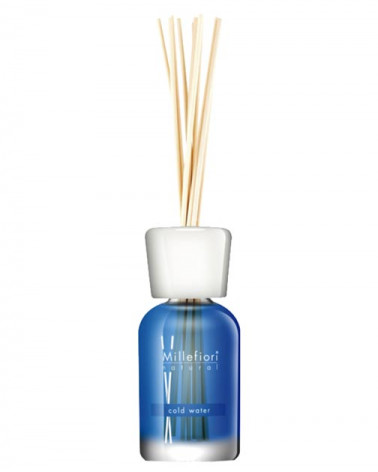 AMBIENTADOR COLD WATER 100 ML