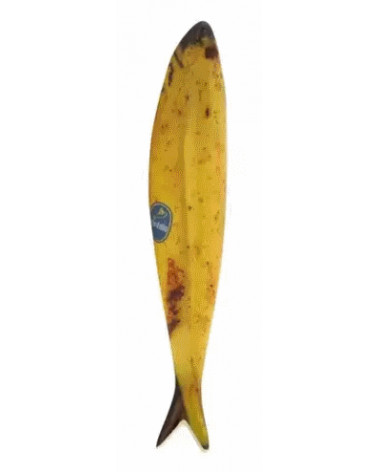 SARDINHA FRANCISQUINHA