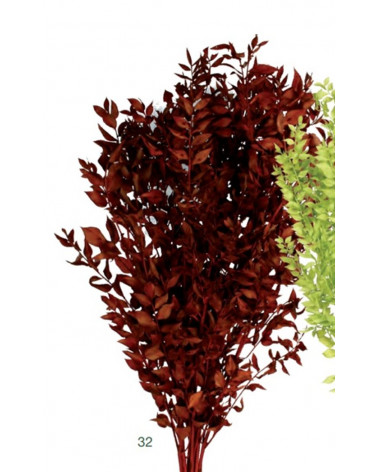 FLORA RUSCUS PRESERVADOS CASTANHO 70CM