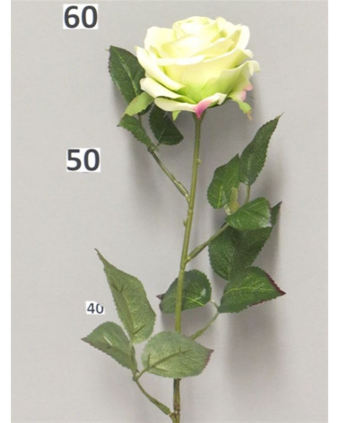FLORA ROSA DIJON VERDE 64CM
