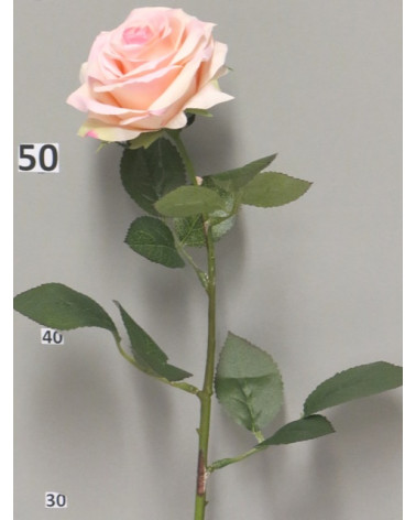 FLORA ROSA DIJON CREME/ROSA 64CM
