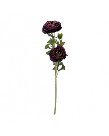 FLORA PE RANUNCULO LILA/ROXO X3 65CM