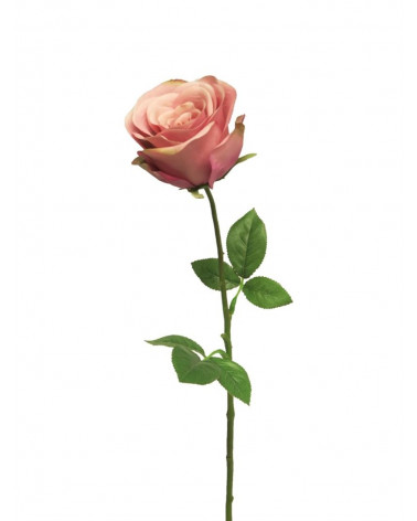 FLORA ROSA MONICA ROSA 47CM