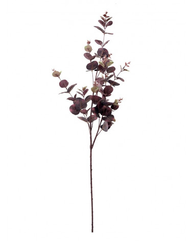 FLORA ASTE EUCALIPTO BORDAUX 88CM