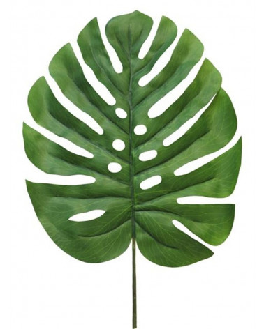 FLORA FOLHAGEM MONSTERA VERDE 90CM