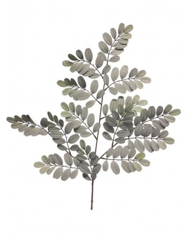 FLORA ASTE ROBINIA CINZA 70CM