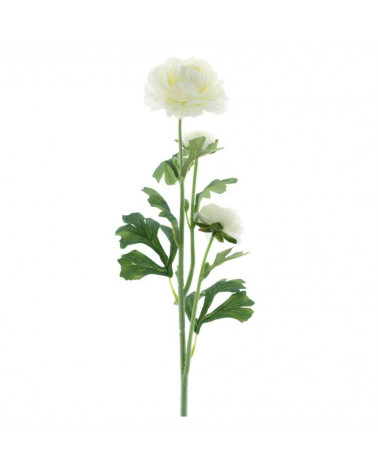 FLORA ASTE/RAMO RANUNCULO NEW ORLEANS CREME 64CM