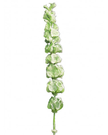 FLORA ASTE MOLECELA VERDE C/NEVE 98CM