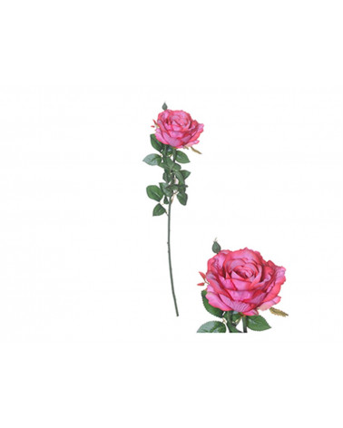 FLORA ASTE C/ROSA IRLANDESA FUCHSIA 66CM