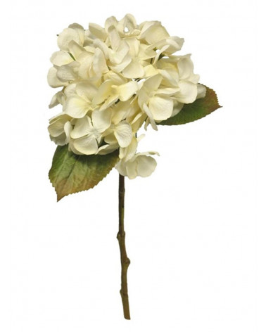 FLORA HYDRANGEA AMY CREME 48CM