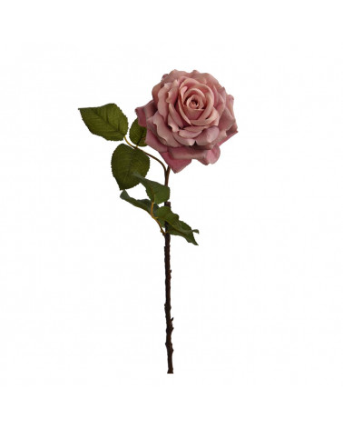 FLORA ROSA QUEEN ABERTA MALVE 55CM