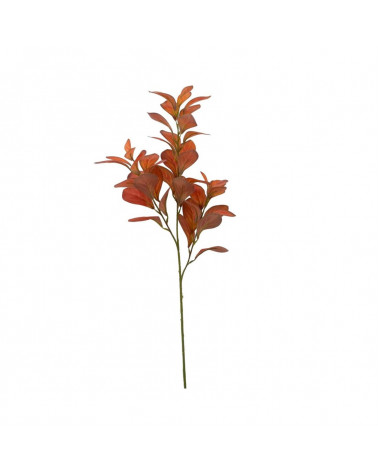 FLORA ASTE FOLHAGEM PAPERONIA OUTUNAL 75CM