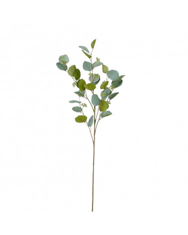 FLORA ASTE EUCALIPTO VERDE CLARO 87CM