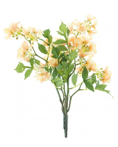 FLORA WILD CHICKWEED LARANJA 55CM
